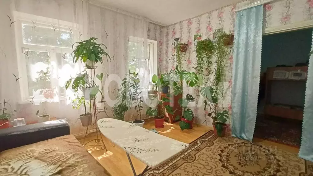 Дом в Краснодарский край, Апшеронск Новая ул., 34 (80 м) - Фото 2