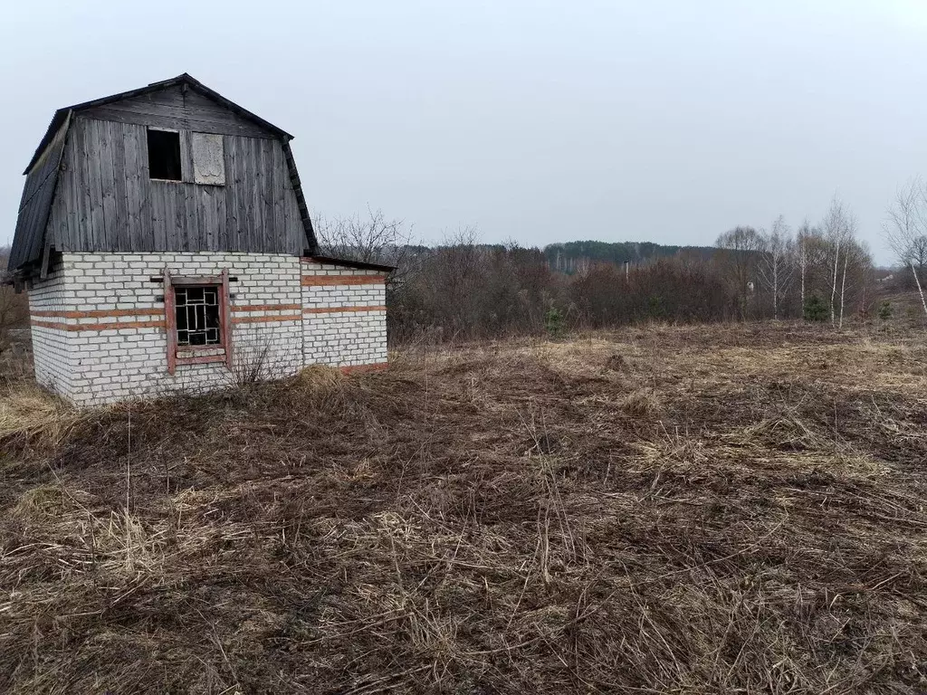 Дом в Брянская область, Брянский район, Добрунское с/пос, Полет СДТ  ... - Фото 1
