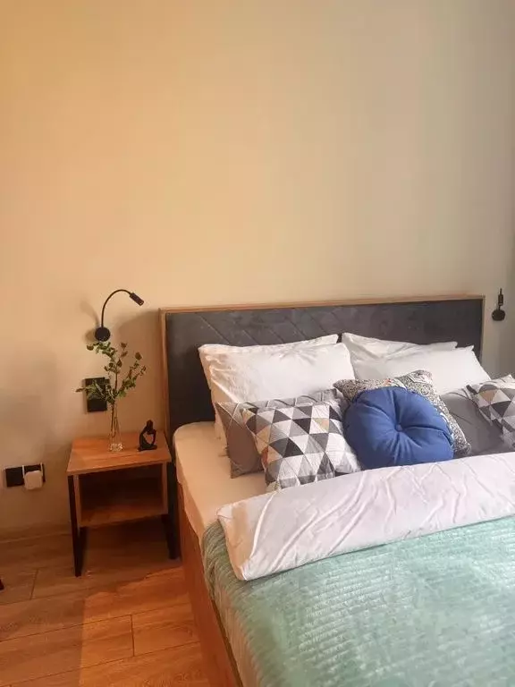 1-к кв. Санкт-Петербург просп. Энергетиков, 8к2 (25.0 м) - Фото 0