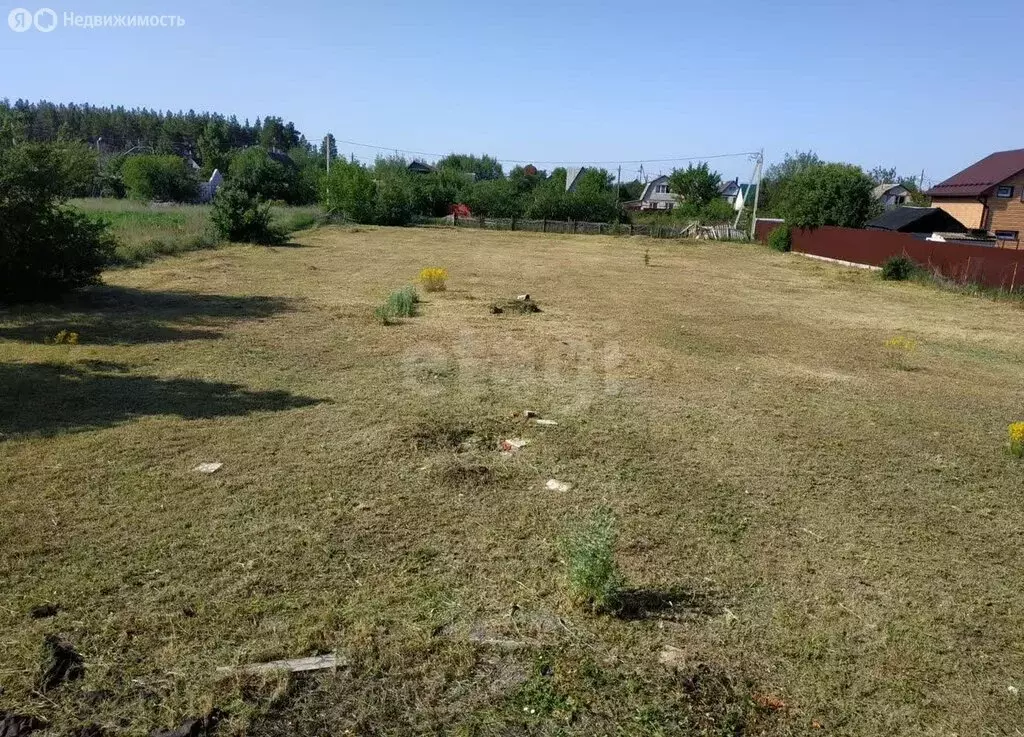 Участок в Воронеж, Большая Советская улица (12 м) - Фото 2