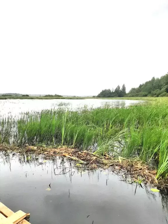 Участок в Ромашкинское сельское поселение (200 м) - Фото 2