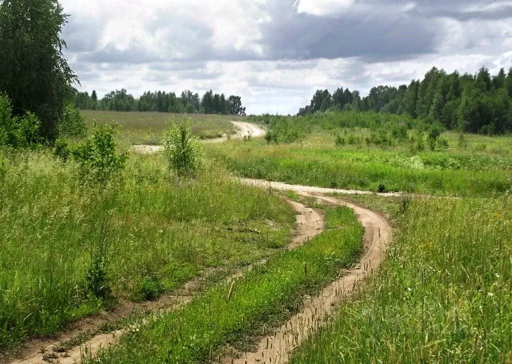 Участок в Новосибирская область, Искитимский район, Весна садовое ... - Фото 1