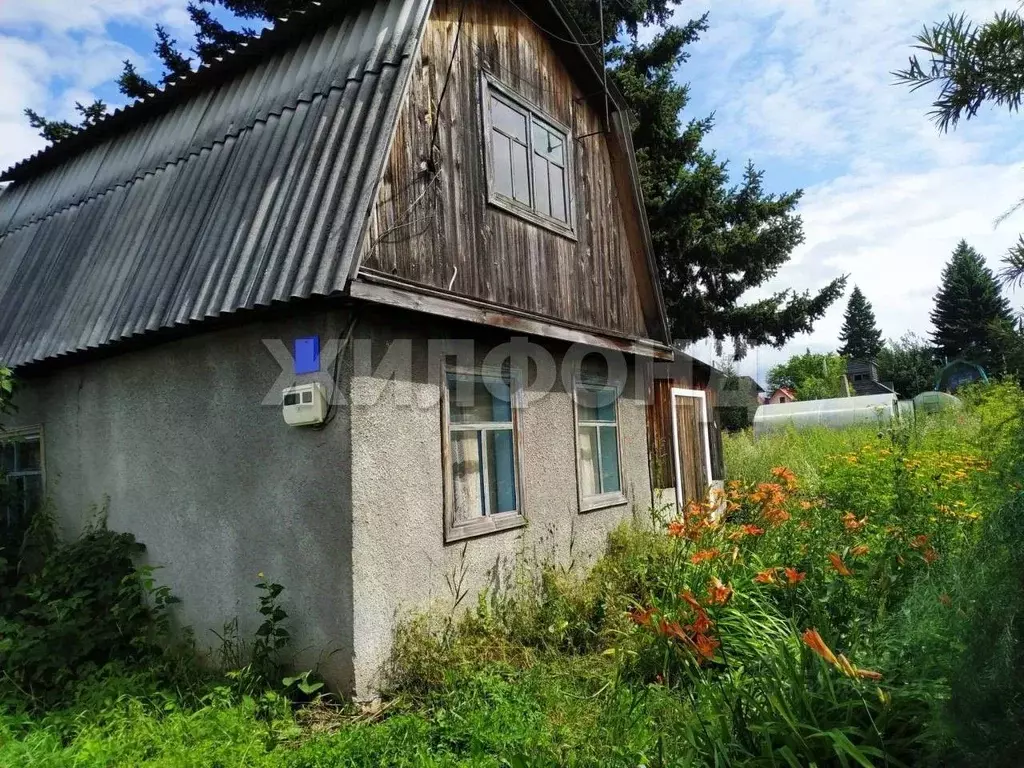Дом в Новосибирская область, Искитим Цементник СНТ,  (24 м) - Фото 0
