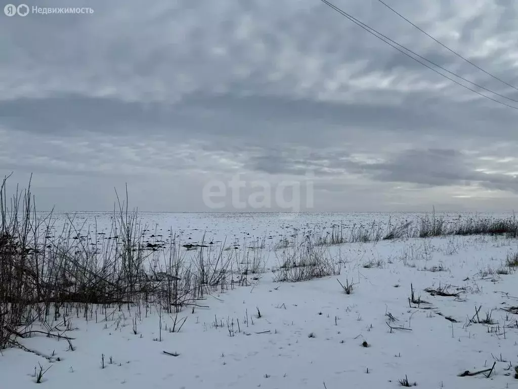 Участок в Белгородская область, Шебекинский муниципальный округ, ... - Фото 2