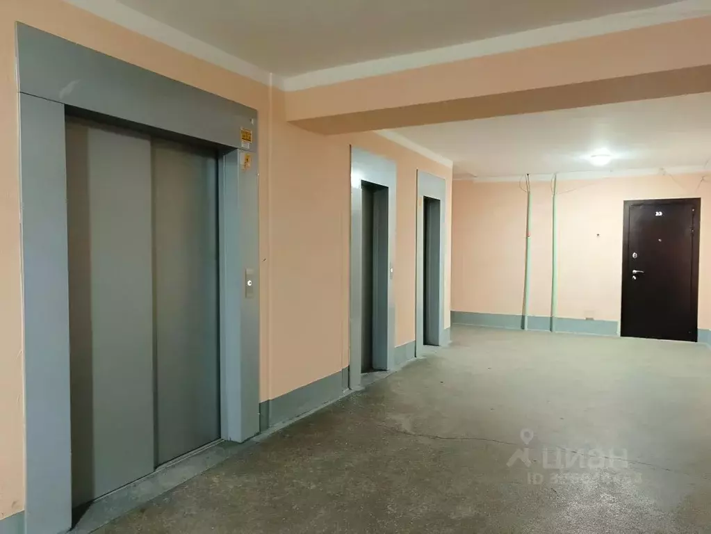 Комната Санкт-Петербург ул. Асафьева, 9К2 (12.4 м) - Фото 2