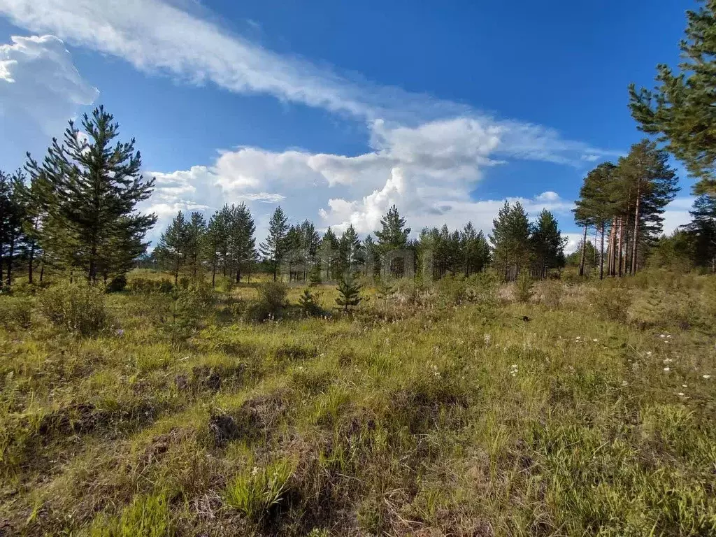 Участок в Забайкальский край, Читинский район, № 50 Строитель СТ  ... - Фото 1