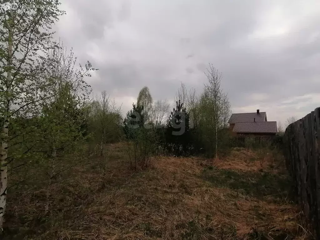 Участок в Нижегородская область, городской округ Выкса, рабочий ... - Фото 1