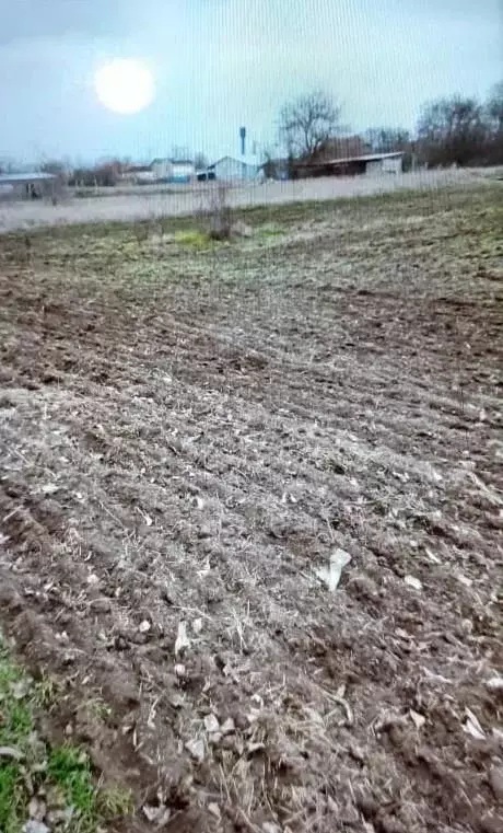 Участок в Ростовская область, Кагальницкий район, Кировская ст-ца ул. ... - Фото 2