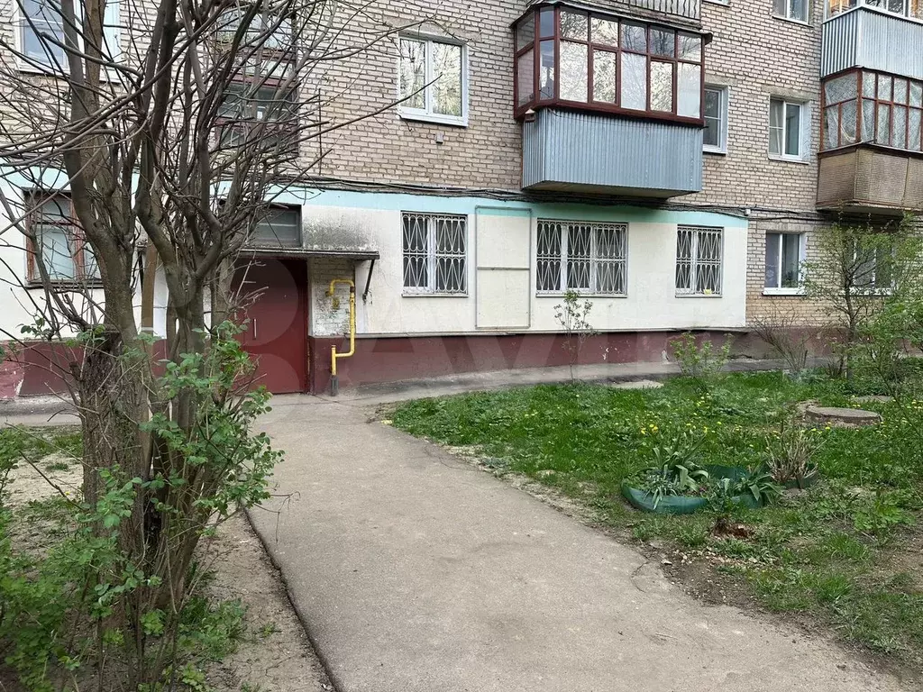 Свободного назначения, 43 м - Фото 0