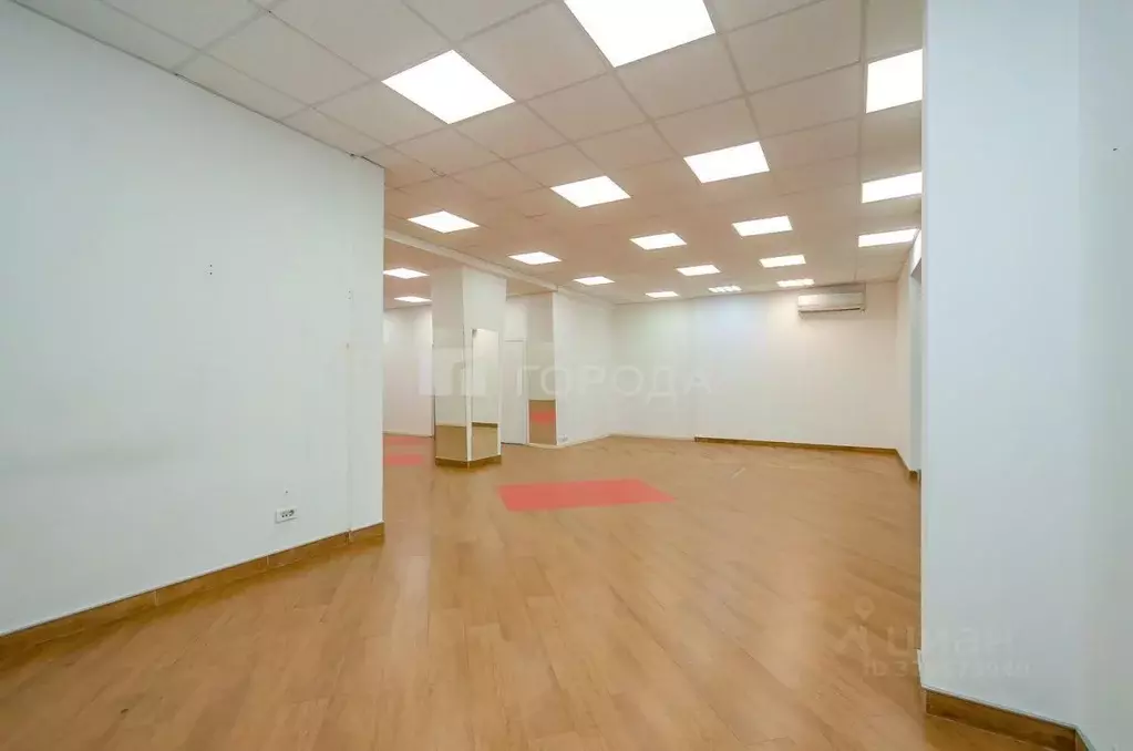 Торговая площадь в Новосибирская область, Новосибирск Красный просп., ... - Фото 1