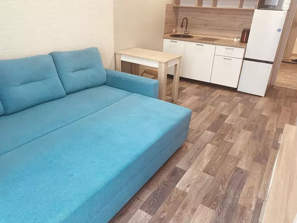 Студия Новосибирская область, Новосибирск ул. Забалуева, 69/2 (22.7 м) - Фото 2