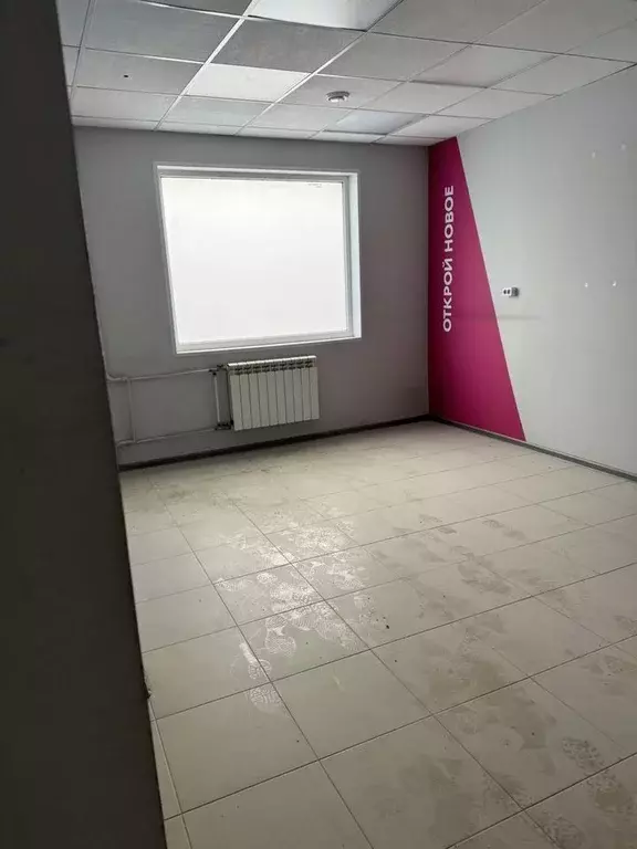 Помещение свободного назначения в Санкт-Петербург просп. Просвещения, ... - Фото 2