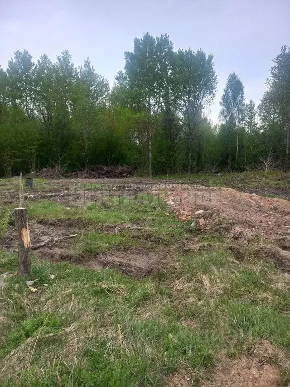 Участок в Смоленская область, Смоленск Большая Советская ул. (10.0 ... - Фото 0
