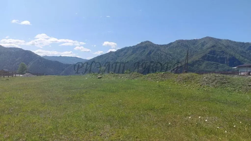 Участок в Алтай, Чемальский район, с. Чемал Советская ул. (12.0 сот.) - Фото 1