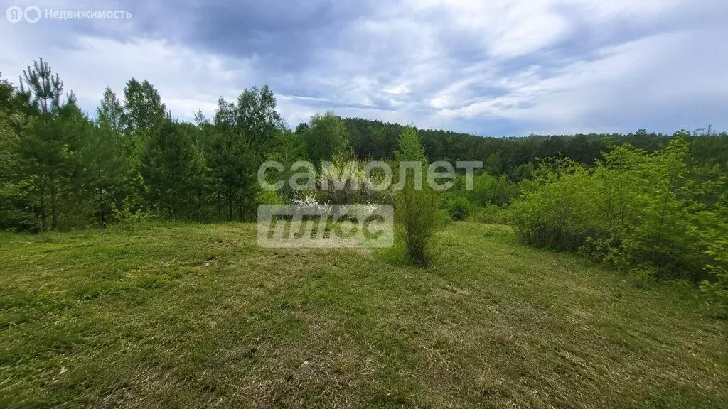 Участок в Иркутский муниципальный округ, СНТ Кедр, 145 (6 м) - Фото 0
