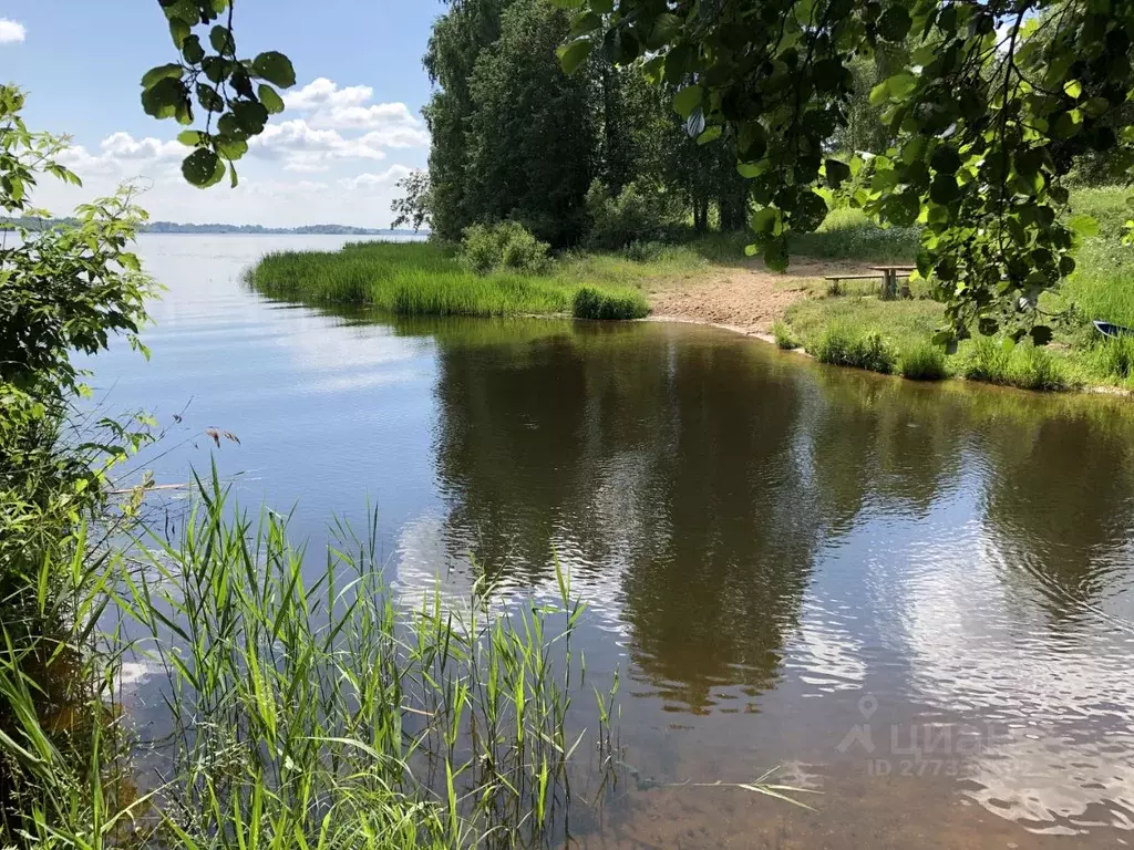 Участок в Тверская область, Кашинский муниципальный округ, д. Доманово ... - Фото 1