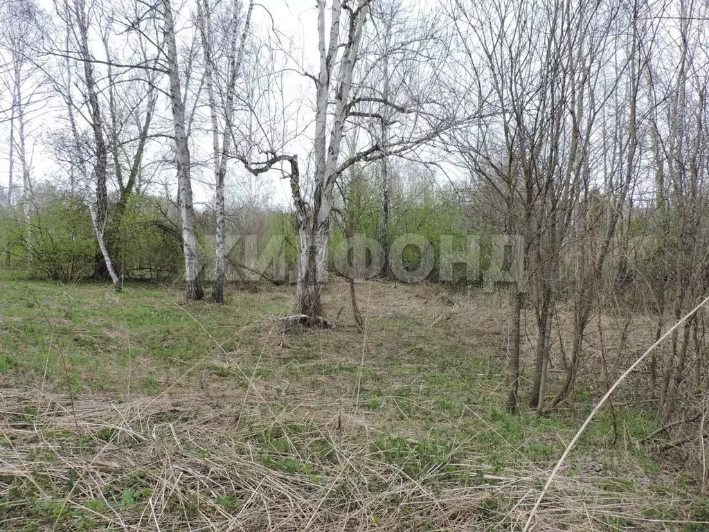 Участок в Новосибирская область, Мошковский район, Долина Имений кп  ... - Фото 0
