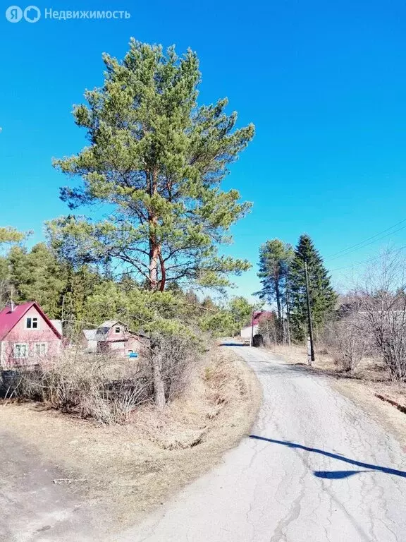 Дом в Республика Карелия, Пряжинское городское поселение, СНТ Устье ... - Фото 2