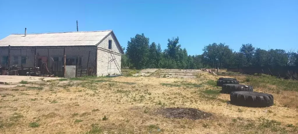 Участок в Волгоградская область, Среднеахтубинский район, Фрунзенское ... - Фото 0