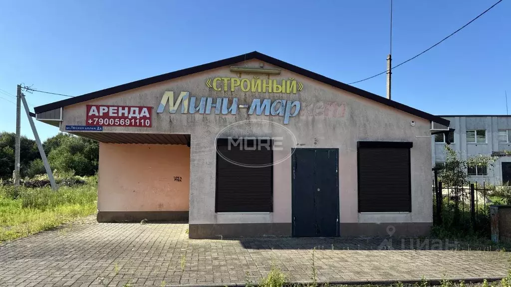 Торговая площадь в Калининградская область, Полесск аллея Лесная (99 ... - Фото 1