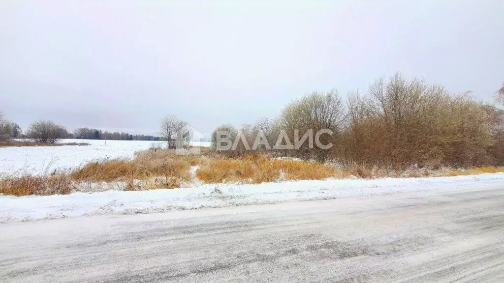 Участок в Владимирская область, Камешковский район, Второвское ... - Фото 0