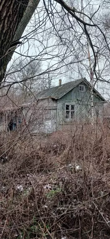 Дом в Тамбовская область, Староюрьевский муниципальный округ, д. ... - Фото 0