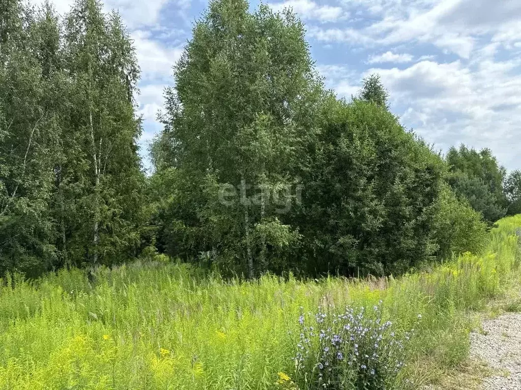 Участок в Нижегородская область, Балахнинский муниципальный округ, д. ... - Фото 1