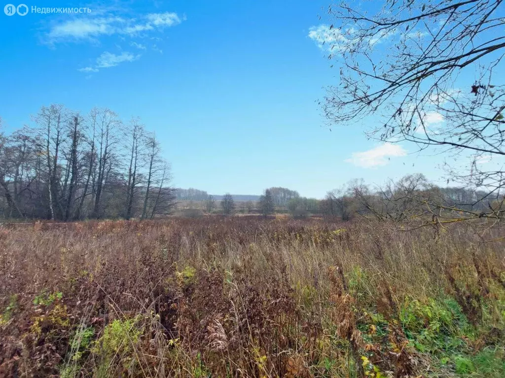 Участок в Чехов, городок Чехов-4 (40 м) - Фото 1