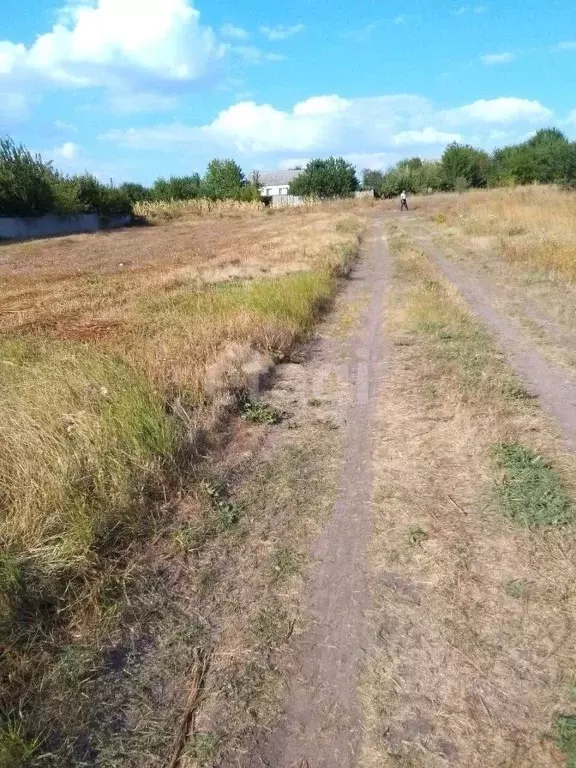 Участок в Белгородская область, Новый Оскол ул. Мира (12.0 сот.) - Фото 1