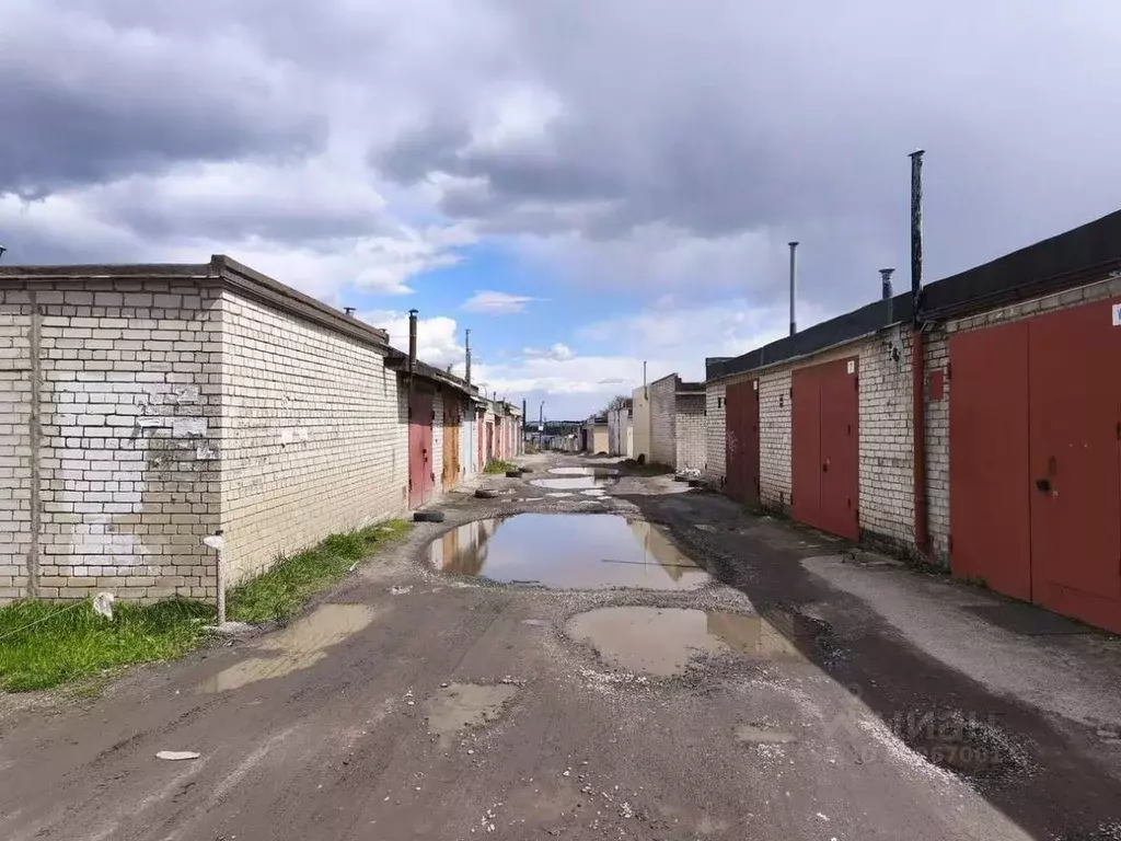 Гараж в Белгородская область, Белгород Славянская ул. (90 м) - Фото 2