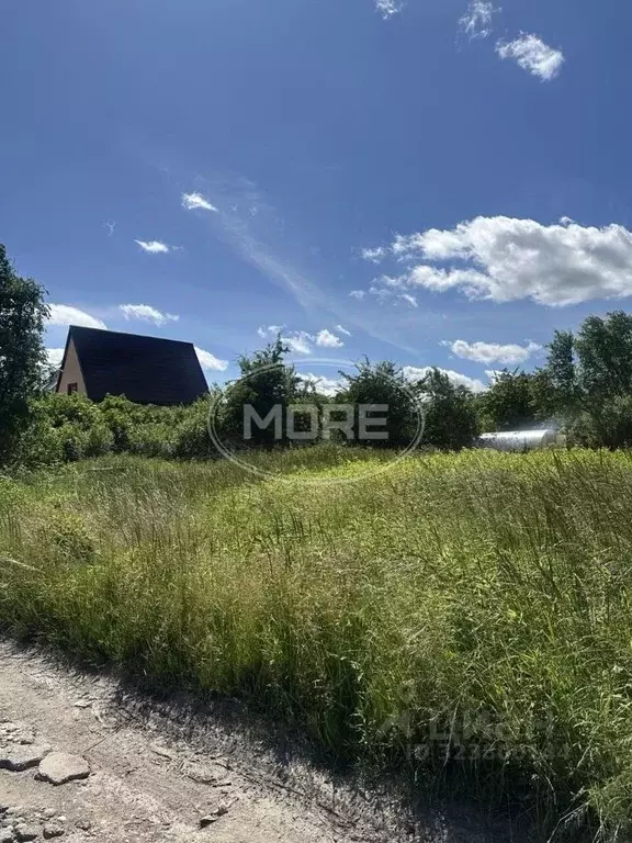 Участок в Калининградская область, Калининград Полет-1 СНТ, ул. ... - Фото 1