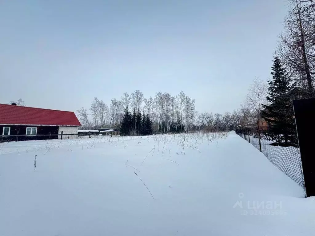 Участок в Новосибирская область, Новосибирский район, с. Боровое ул. ... - Фото 1