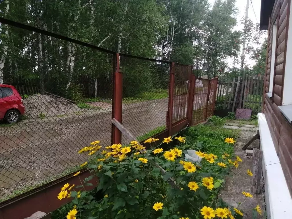 Дом в Новосибирская область, Новосибирск Березка СТ, 117 (36 м) - Фото 1