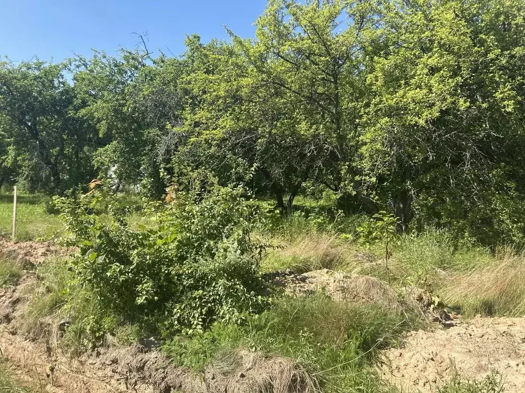 Участок в Московская область, Ступино городской округ, с. Колычево ул. ... - Фото 2