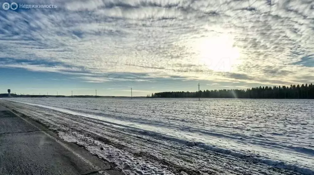 Участок в Тюменская область, Исетский муниципальный округ, село ... - Фото 1