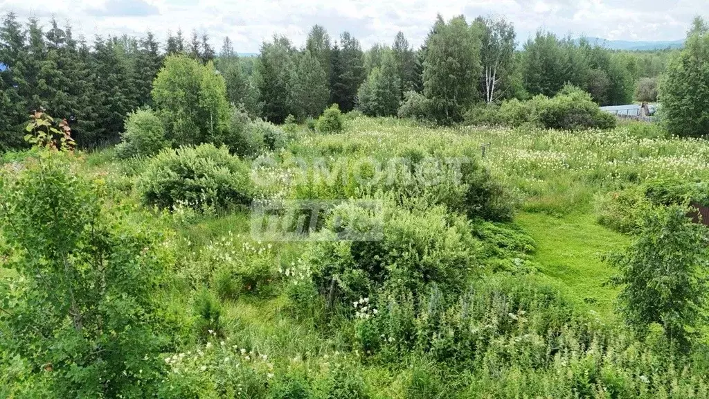 Участок в Челябинская область, Верхнеуфалейский городской округ, пос. ... - Фото 2