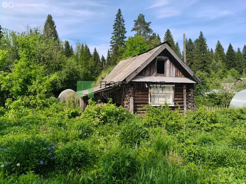 Дом в Завьяловский район, СДТ Восход (25 м) - Фото 1