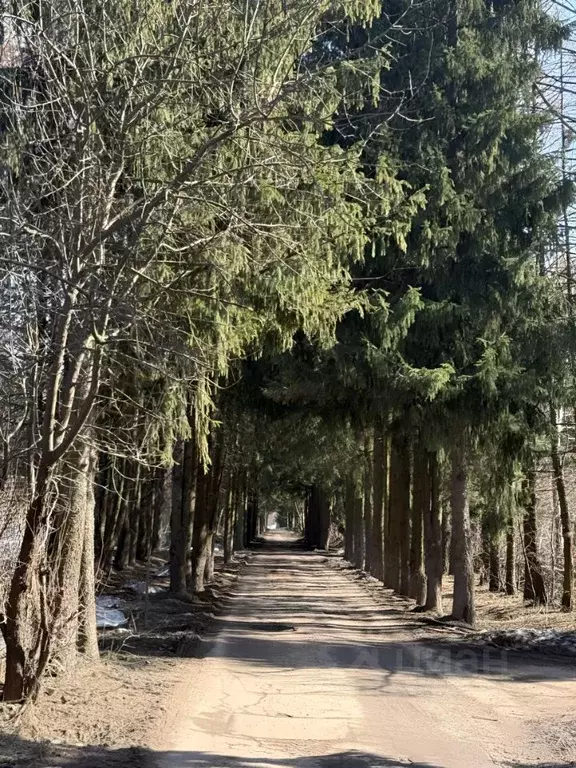 Участок в Москва № 88 кв-л,  (15.0 сот.) - Фото 1