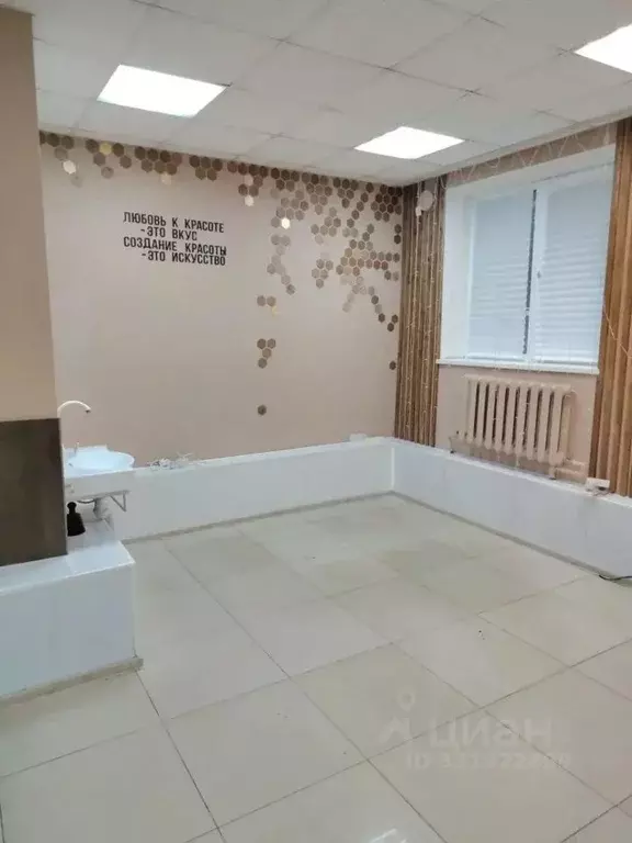 Помещение свободного назначения в Ростовская область, Таганрог ш. ... - Фото 1