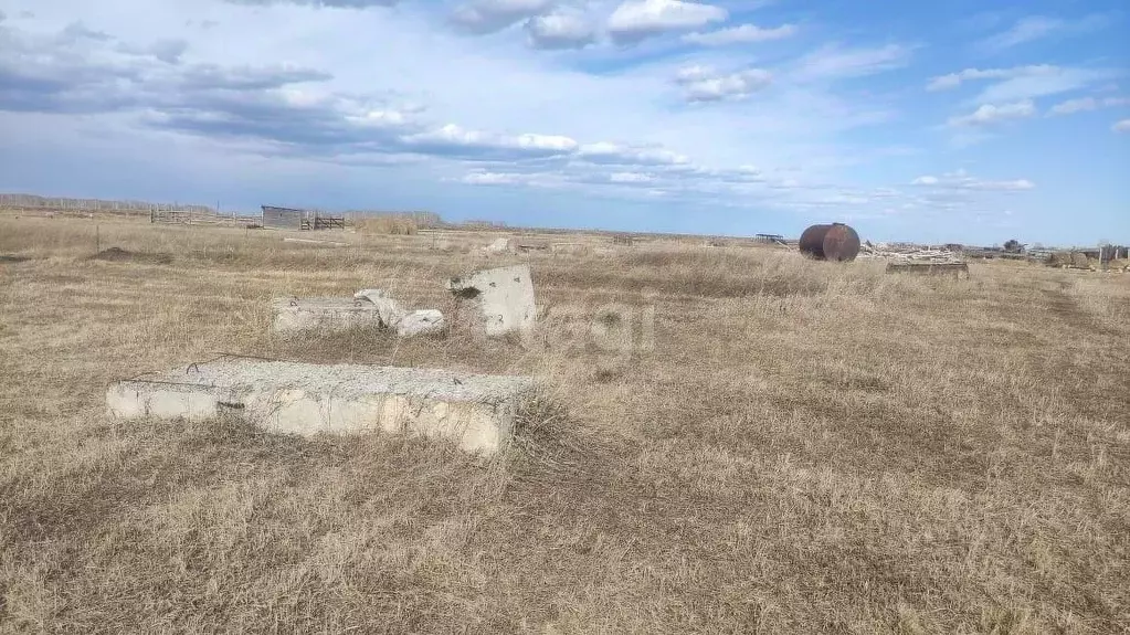 Участок в Тюменская область, Ишимский район, с. Новолокти Молодежная ... - Фото 0