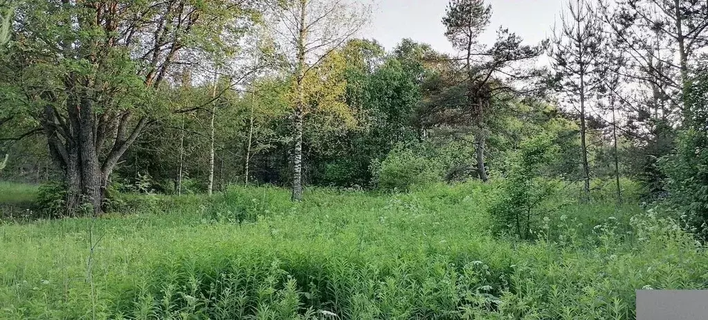 Участок в Новгородская область, Демянский муниципальный округ, д. ... - Фото 1