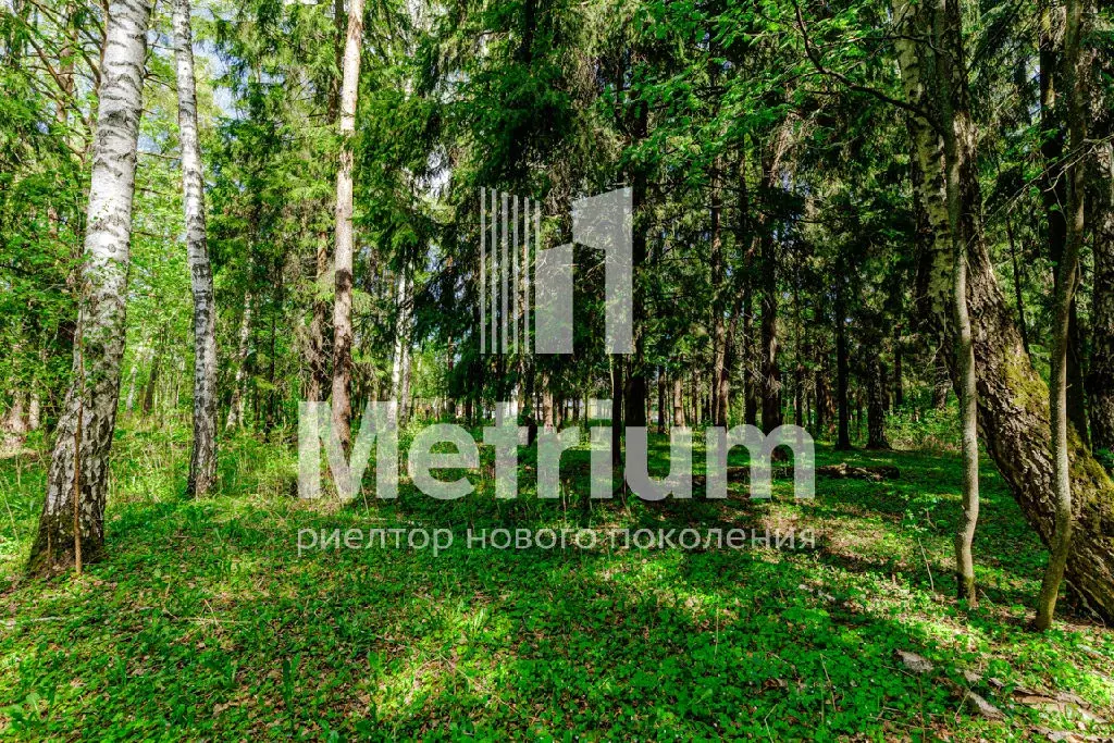 Продается участок в ДПК РАНИС Березовая Роща - Фото 1