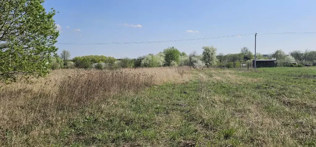 Участок в Московская область, Луховицы муниципальный округ, д. ... - Фото 1