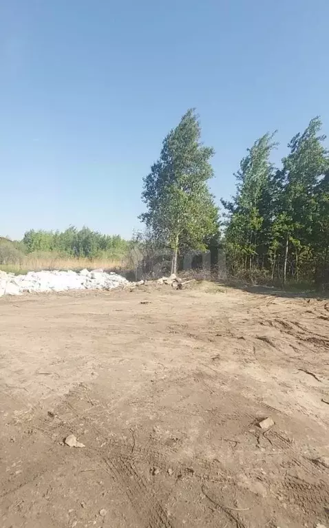 Участок в Тюменская область, Тюмень Малинка садовое товарищество, ул. ... - Фото 1