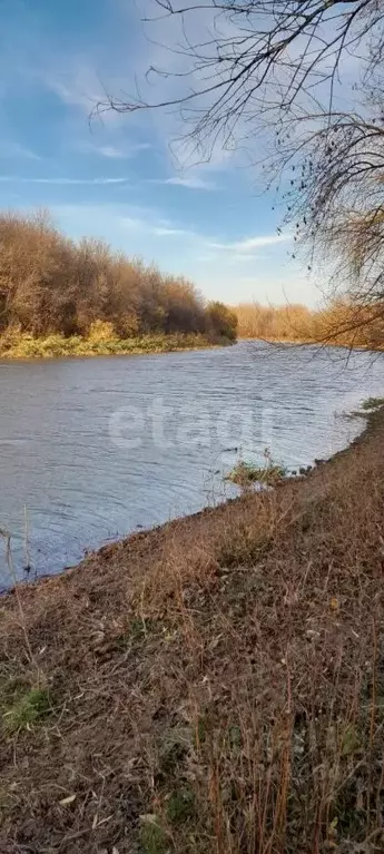 Участок в Астраханская область, Икрянинский район, с. Бекетовка  ... - Фото 2