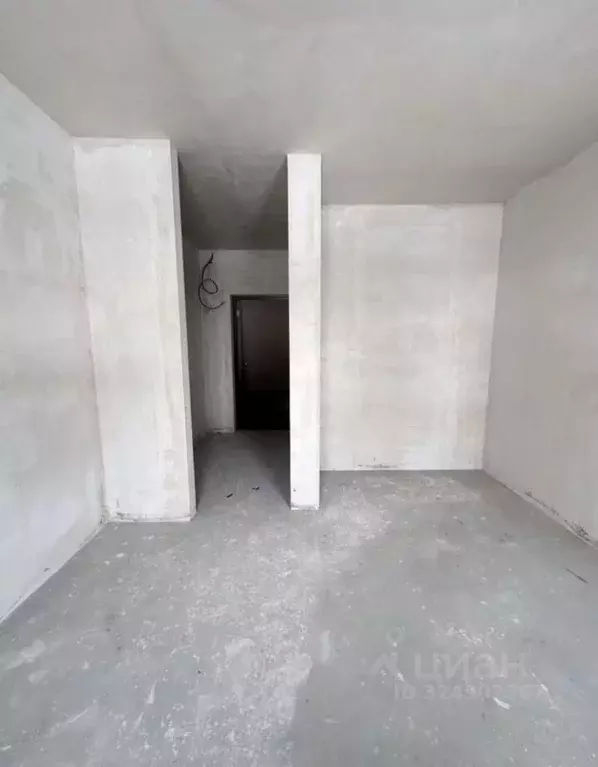 Студия Пензенская область, Пензенский район, Засечный сельсовет, с. ... - Фото 2