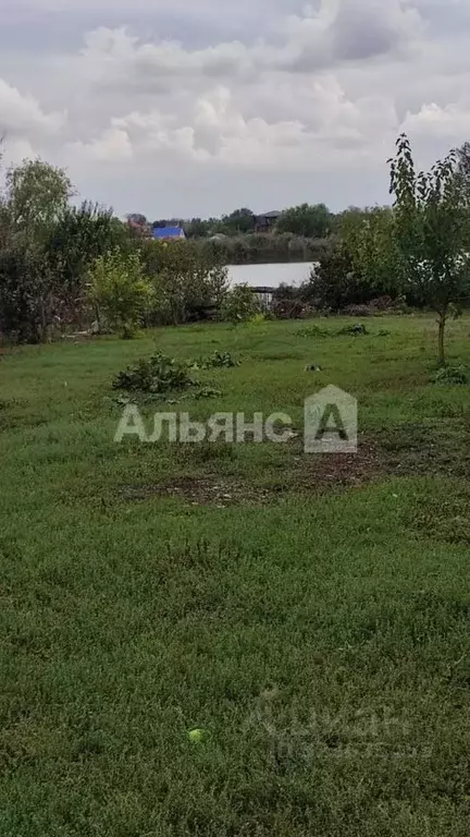 Участок в Краснодарский край, Тимашевск ул. Казачья, 197 (1237.0 сот.) - Фото 2