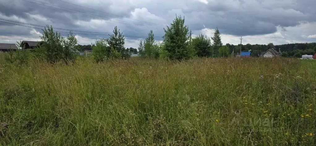 Участок в Московская область, Щелково городской округ, с. Рязанцы  ... - Фото 1