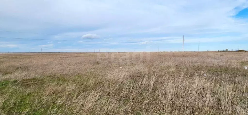 Участок в Крым, Феодосия муниципальный округ, с. Береговое ул. ... - Фото 1