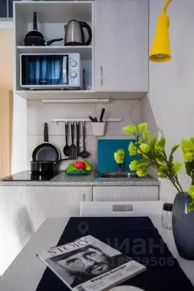 Студия Санкт-Петербург ул. Правды, 1/11 (11.0 м) - Фото 1